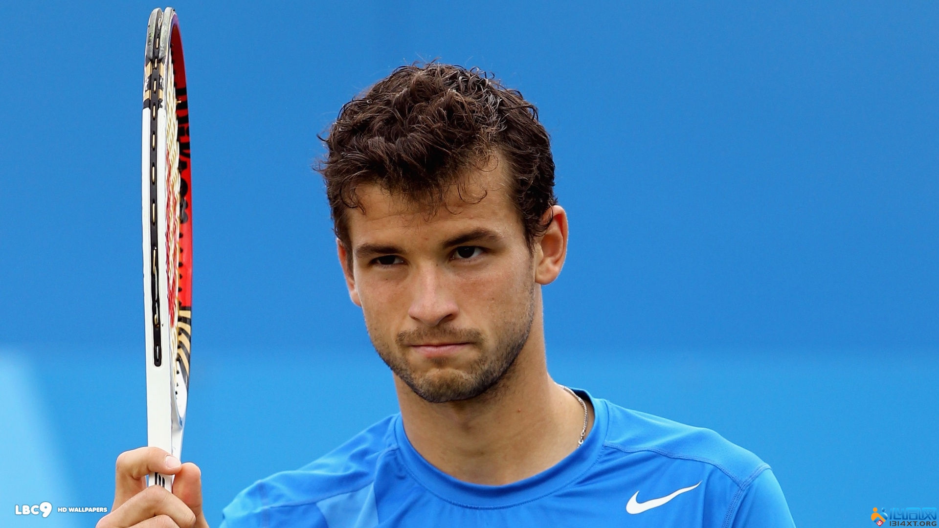 智的选择 智的选择